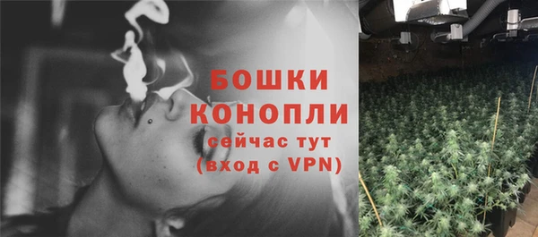 твердый Богородицк