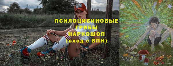 твердый Богородицк