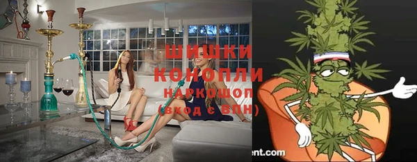 твердый Богородицк