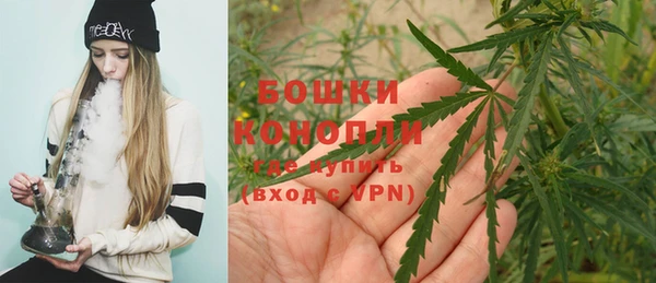 твердый Богородицк
