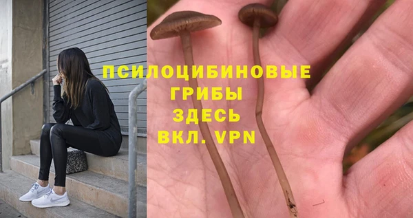 сатива Богородск