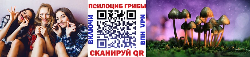 Галлюциногенные грибы Psilocybine cubensis Острогожск